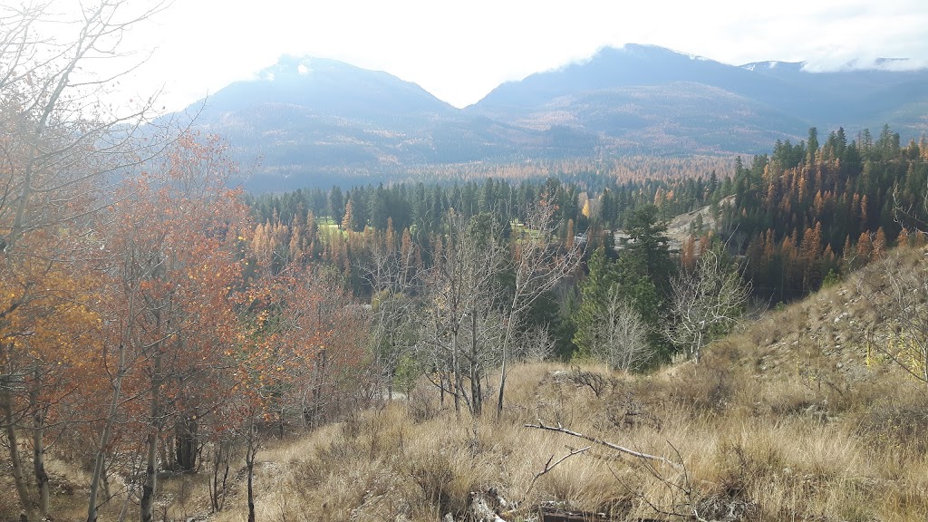 Hellroaring Images | 466 301 St, Kimberley, BC V1A 3H1, Canada | Phone: (250) 427-1062