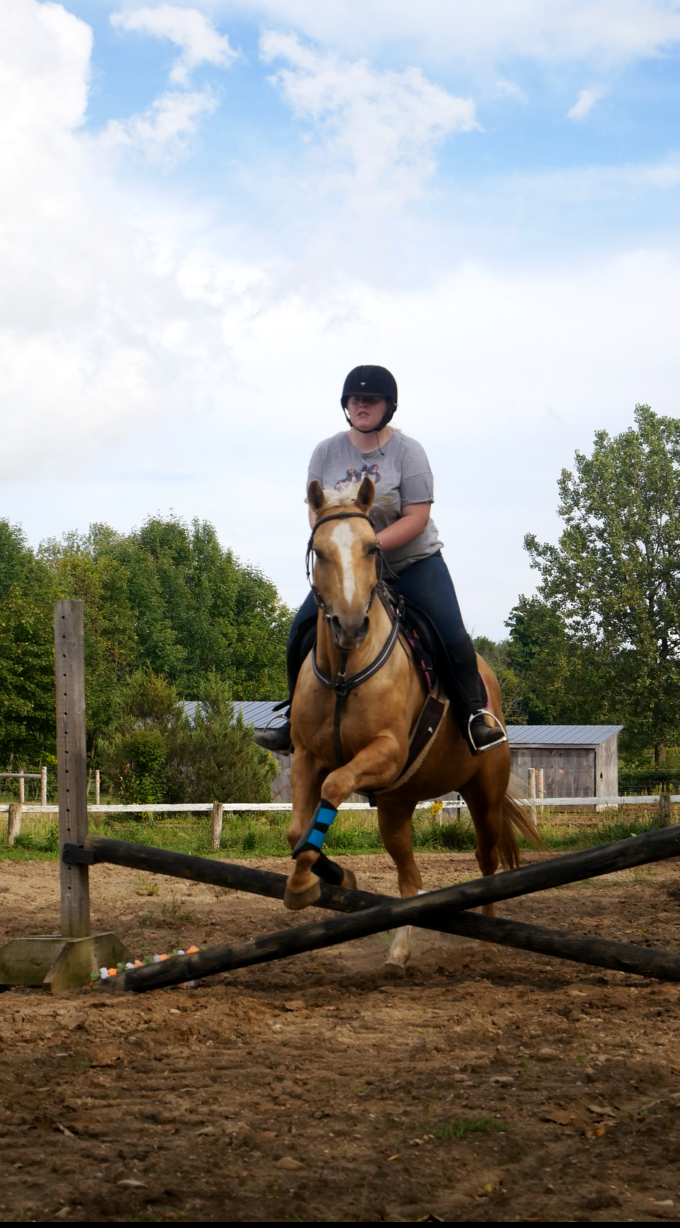 Ponies R Us | 1078 Campbellville Rd, Milton, ON L0P, Canada | Phone: (905) 854-7669