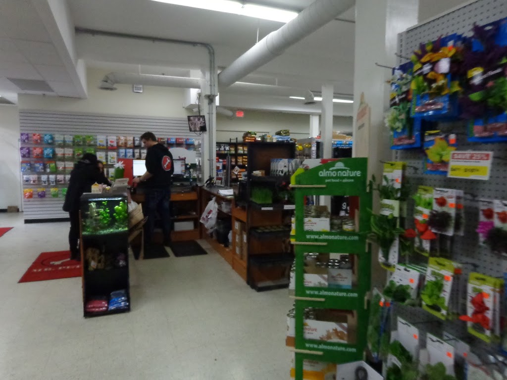 Mr. Pets | 201 Bewicke Ave, North Vancouver, BC V7M 3M7, Canada | Phone: (778) 340-1102