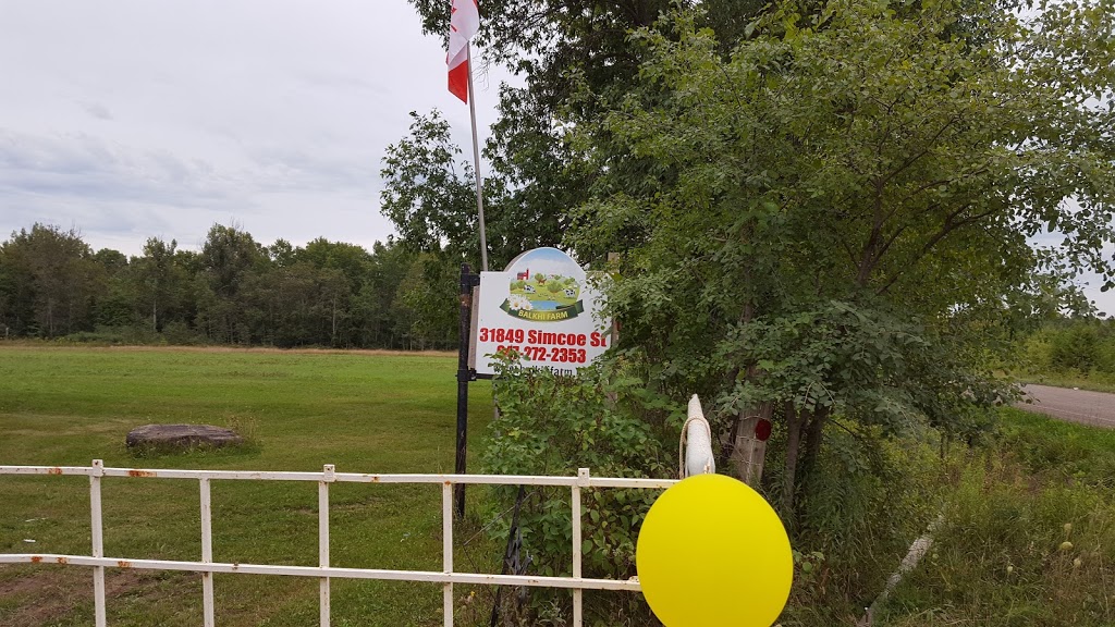 Balkhi Farm | 31849 Simcoe St, Beaverton, ON L0K 1A0, Canada | Phone: (416) 293-8005