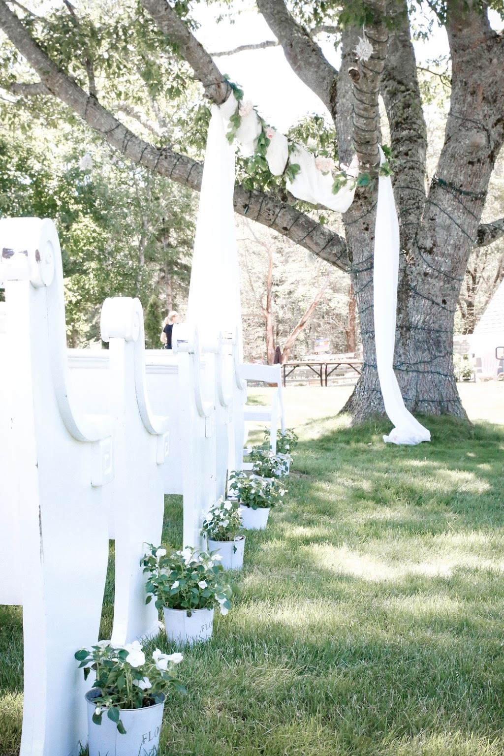 Healy Events | 439 Prospect Ave, Kentville, NS B4N 5R5, Canada | Phone: (902) 456-7688