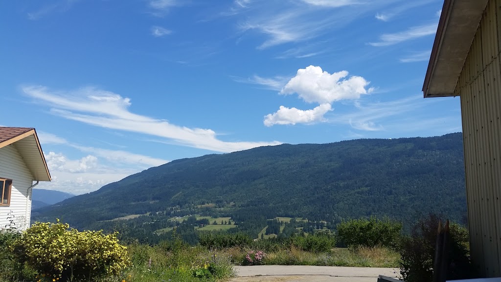 Peterson Orchard | 5480 35 St NE, Salmon Arm, BC V1E 2B3, Canada | Phone: (250) 515-1347
