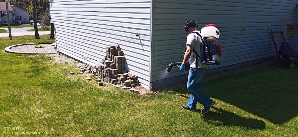 AAA Xterminator Inc. | 109 Bennett Lake Rd, Balderson, ON K0G 1A0, Canada | Phone: (613) 298-7026