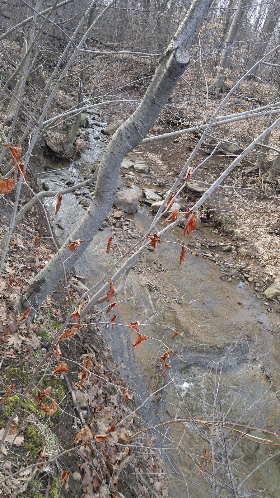 Locust Grove Picnic Area | 14888 Niagara Pkwy, Queenston, ON L0S 1L0, Canada