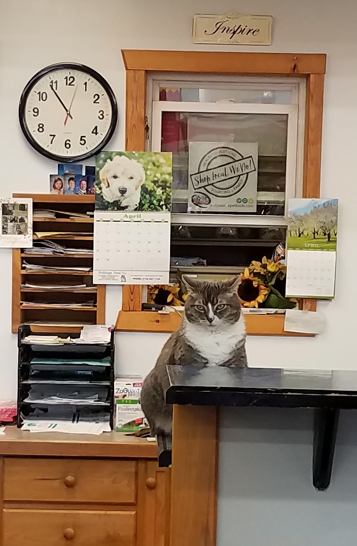 Bulldogs Feed Company | 454 Olean Rd, East Aurora, NY 14052, USA | Phone: (716) 687-1104