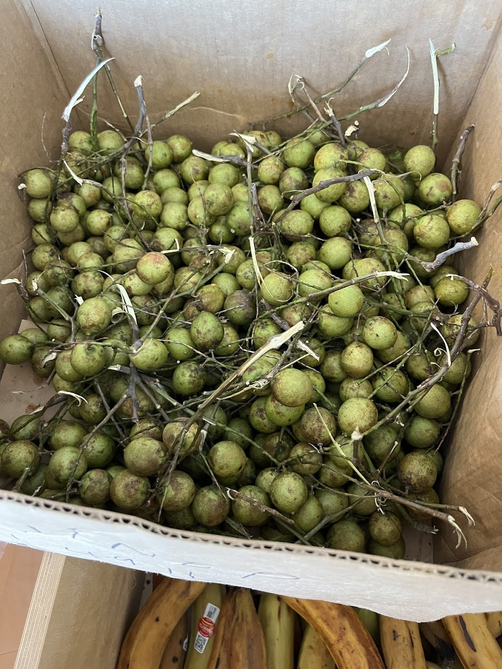 JanOne (Caribbean/Jamaican/Filipino/Latin groceries | 274 Burton Ave, Barrie, ON L4N 5W4, Canada | Phone: (705) 797-0222