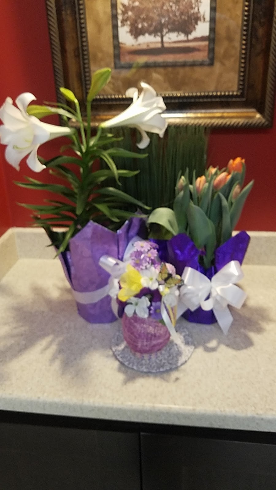Croswell Greenhouse | 180 Davis St, Croswell, MI 48422, USA | Phone: (810) 679-3298