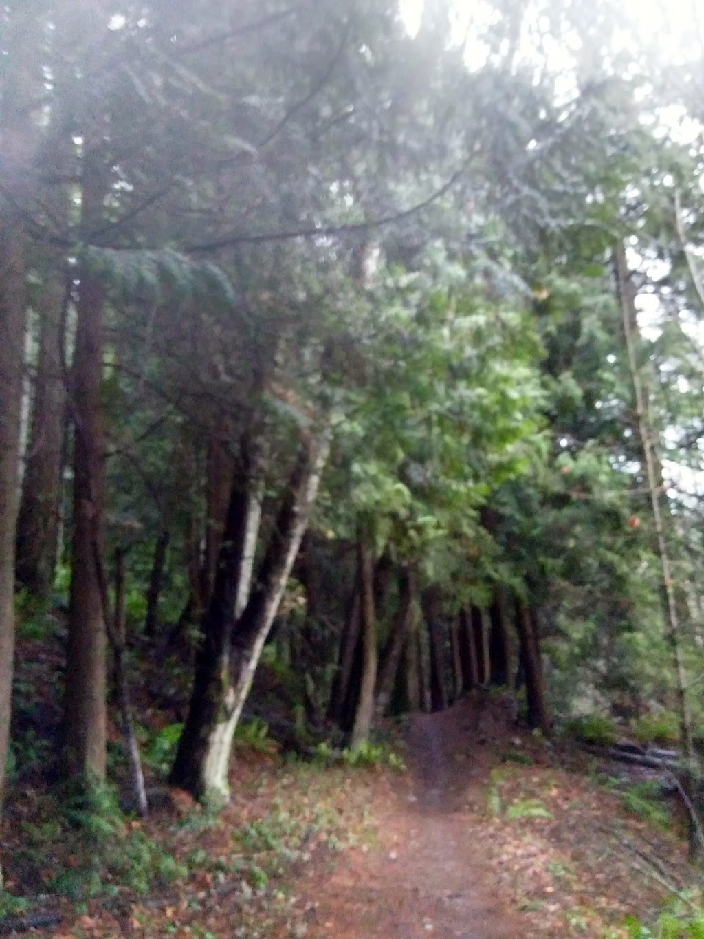 Blanchard mountain Trail Upper Parking lot | Unnamed Road,, Bow, WA 98232, USA