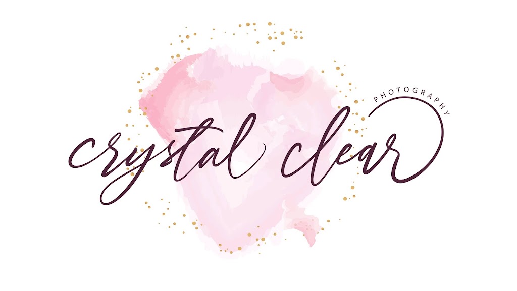 Crystal Clear Photography | Very end of Axen Rd, Waiwakum Indian Reserve, 1035 Jimmy Jimmy Rd #5, Brackendale, BC V0N 1H0, Canada | Phone: (604) 815-7051