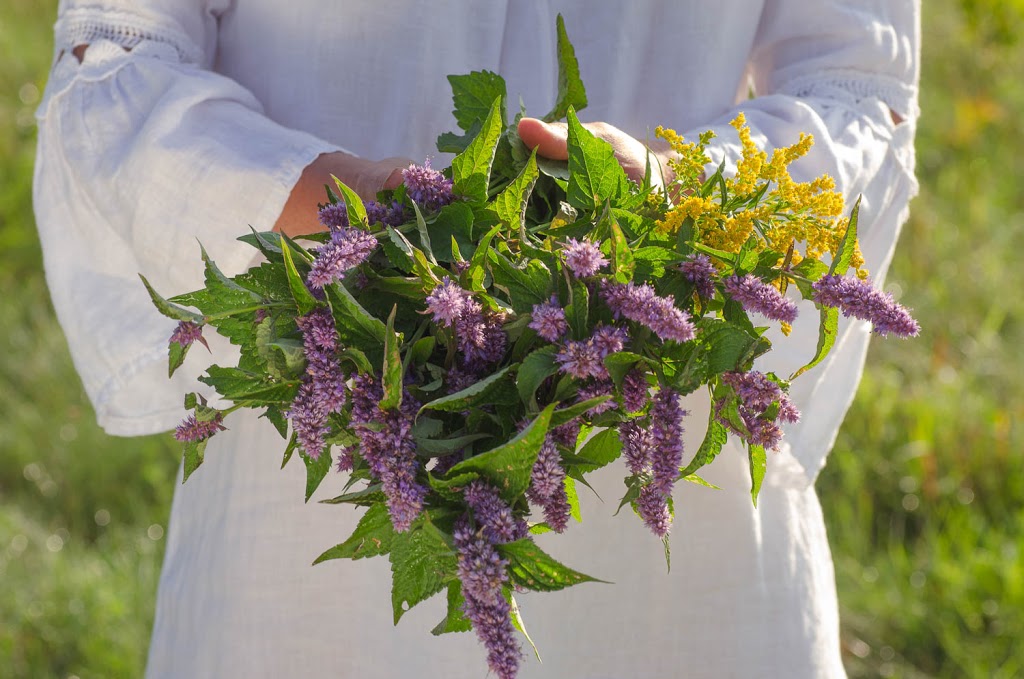 Tante Agastache | 483 Rue de la Mairie, Sainte-Émélie-de-lÉnergie, QC J0K 2K0, Canada | Phone: (450) 886-2545