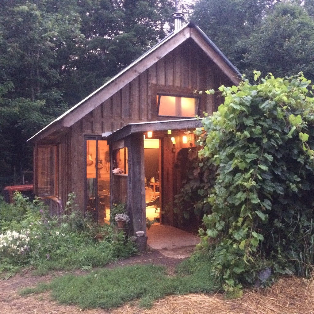 Bedrock and Brambles | 493 Salmon Lake Rd, Gooderham, ON K0M 1R0, Canada | Phone: (705) 927-8258
