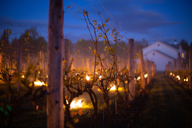 Domaine Bergeville | 1030 Chem. Sherbrooke, Hatley, QC J0B 2C0, Canada | Phone: (819) 842-1026
