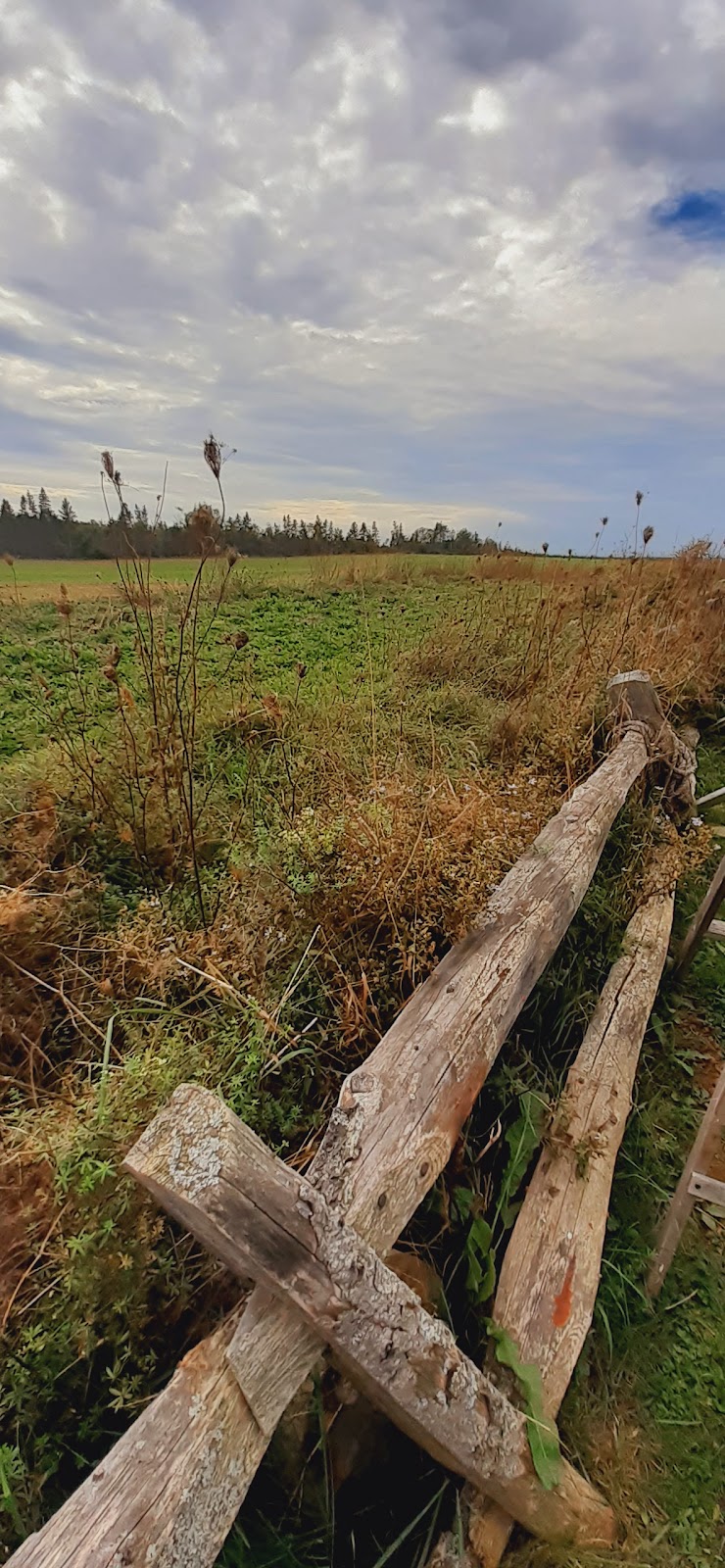 FOX (Fine Objects Created & Collected) | 3635 Brackley Point Rd, Brackley Beach, PE C1E 2P3, Canada | Phone: (902) 394-3014