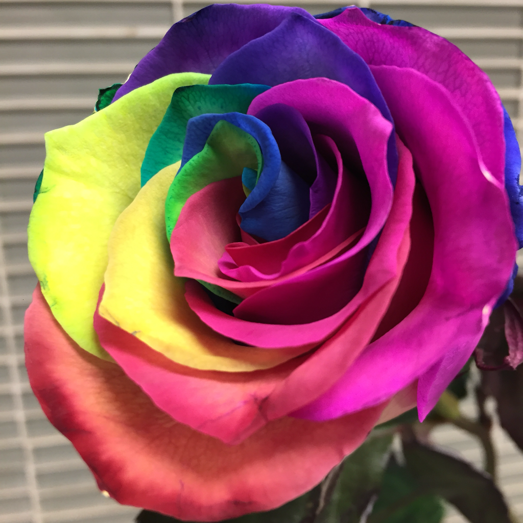 Metro Florist Inc. | 5990 16th Ave Unit 230, Markham, ON L3P 7R2, Canada | Phone: (905) 201-8804