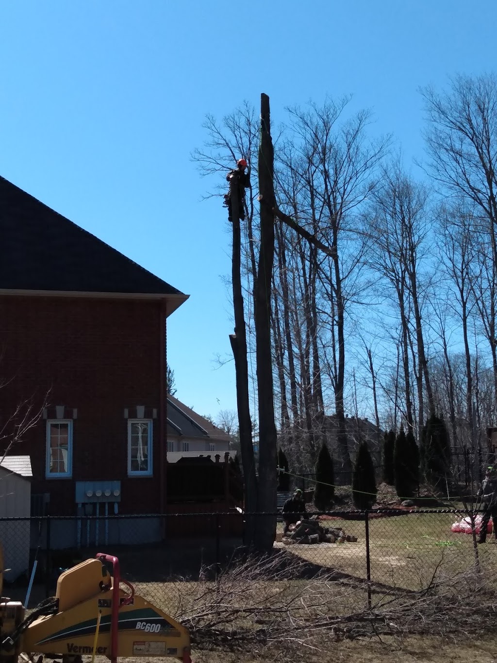 Vincent G.R. Arboriste Grimpeur | 19 Rue de la Sierra Nevada, Cantley, QC J8V 3B2, Canada | Phone: (819) 665-7730