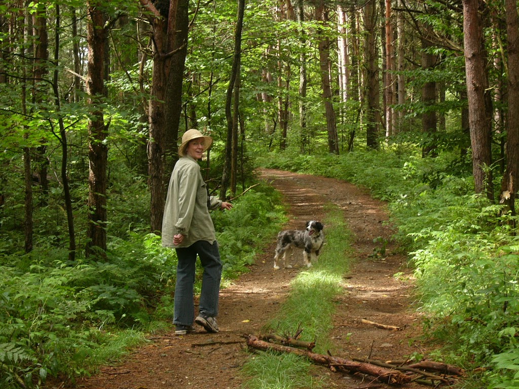 Greenwood Botanicals | RR 1, Locust Hill, ON L0H 1J0, Canada | Phone: (905) 428-7969