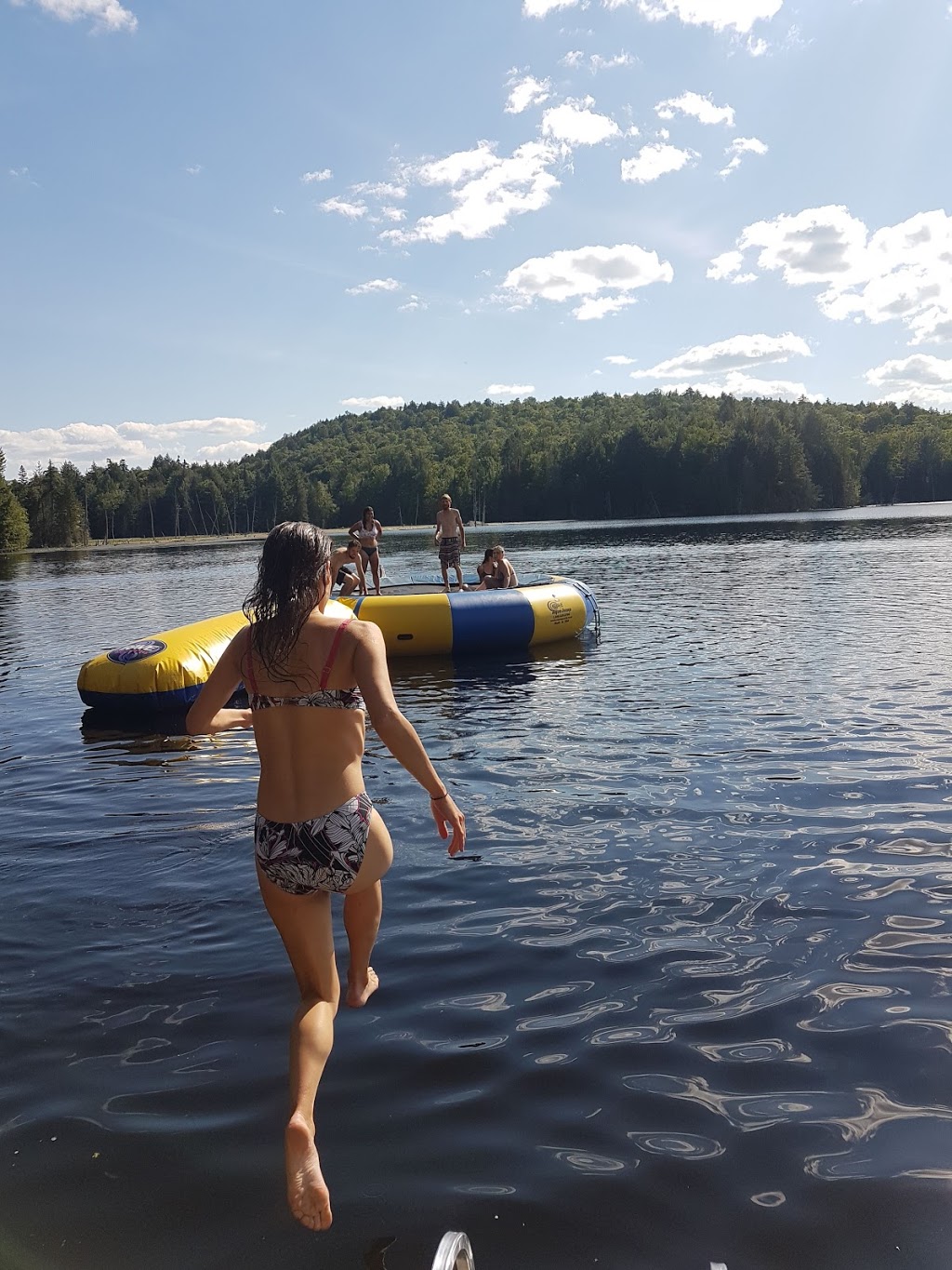 Beaver Trail | 218 Chemin White, Harrington, QC J8G 2T3, Canada | Phone: (514) 291-6368
