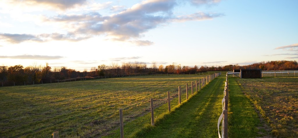 The Stable Grounds - Therapy for PTSD | 22678 Johnston Line, Rodney, ON N0L 2C0, Canada | Phone: (905) 717-5921