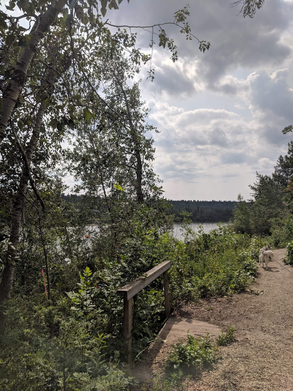 Buena Vista Dog Park | 7821-7823 131 St NW, Edmonton, AB T5R 3N3, Canada