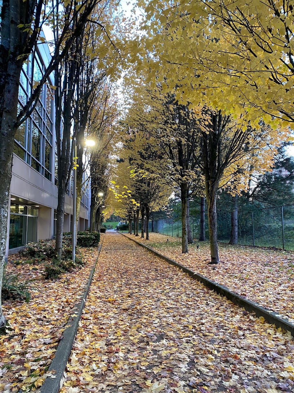 BC Hydro Edmonds | 6911 Southpoint Dr, Burnaby, BC V3N 4X8, Canada | Phone: (604) 224-9376