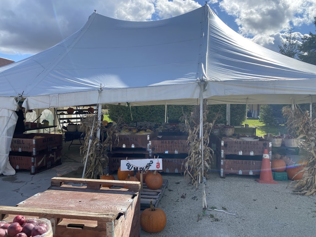 Meesters & Sons Farms Ltd | 2634 Concession 10 N Nottawasaga Rd, Collingwood, ON L9Y 3Y9, Canada | Phone: (705) 445-3768