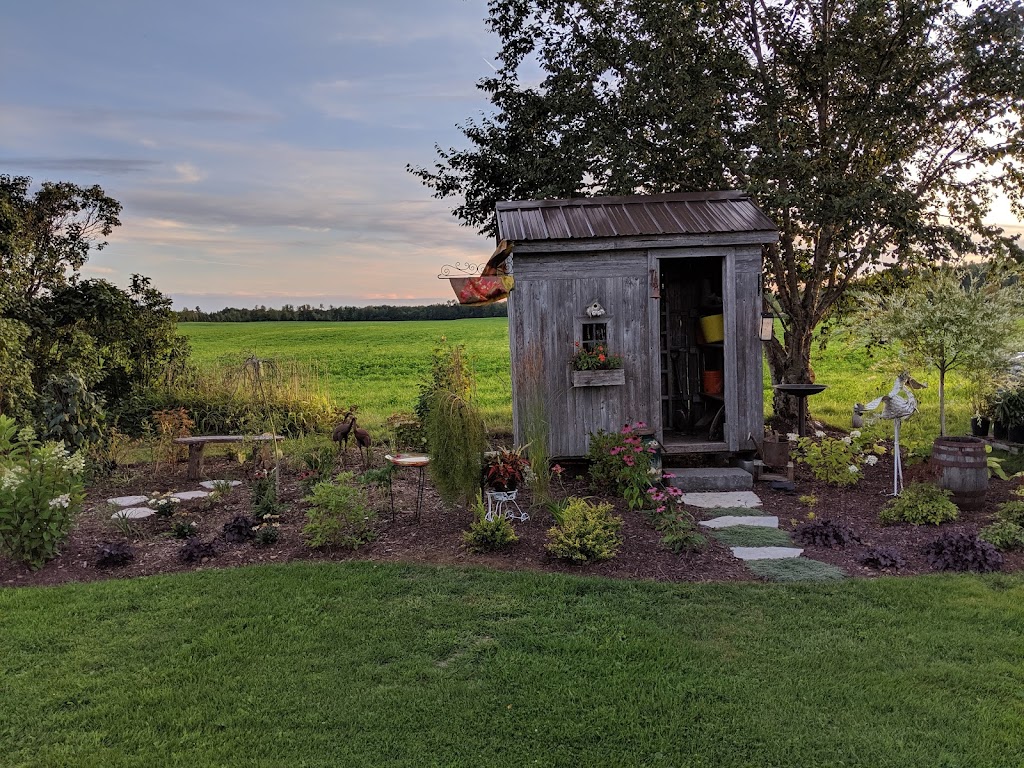 Jardinerie creation Candide | 377 PETIT RANG ST BERNARD, Saint-Raymond, QC G0A 4A0, Canada | Phone: (418) 987-8589