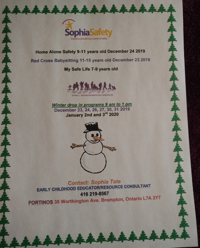 DTSH Developmental Services Inc. | 43 Vauxhall Crescent, Brampton, ON L7A 3A4, Canada | Phone: (416) 219-8567
