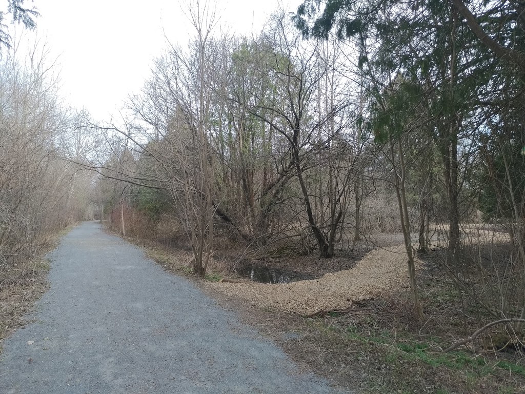 Arboretum Stephen-Langevin | Chemin de la Côte den Bas, Boucherville, QC J3V 6P4, Canada