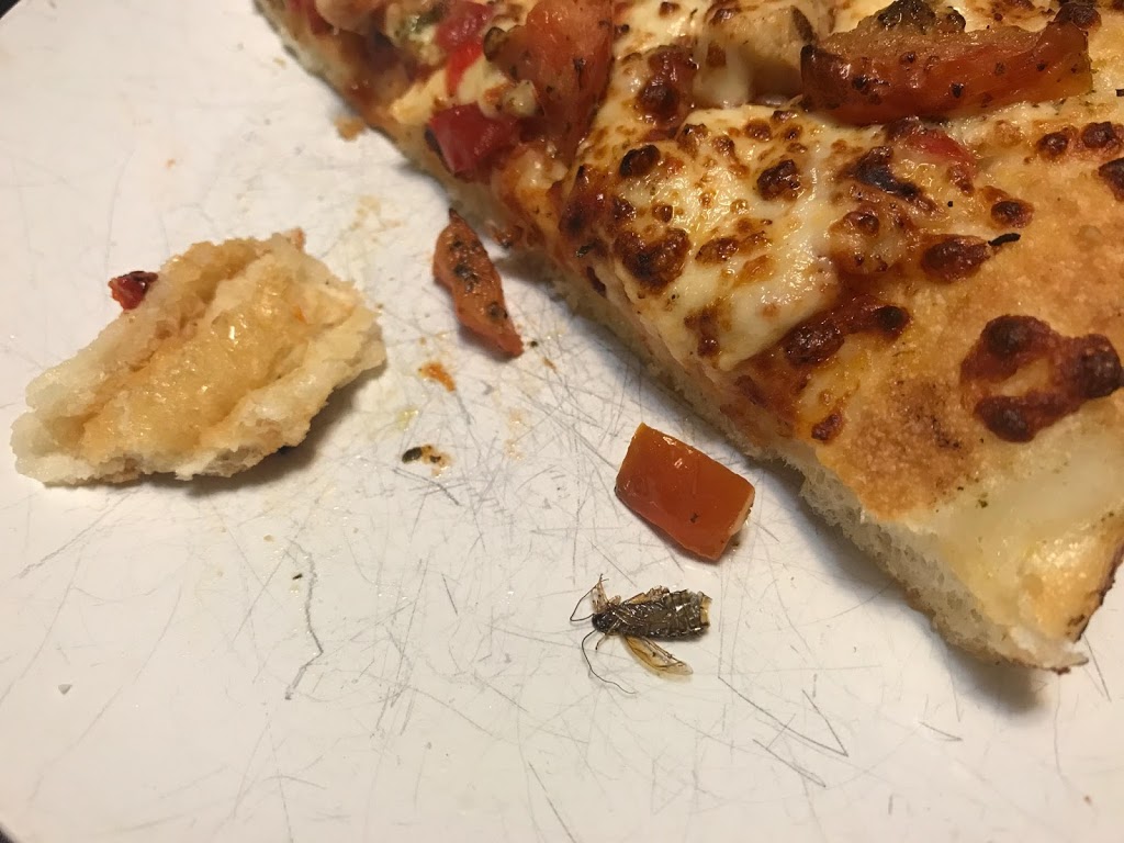 Pizza Hut | 2070 Queen St E, Toronto, ON M4E 1C9, Canada | Phone: (416) 693-2555