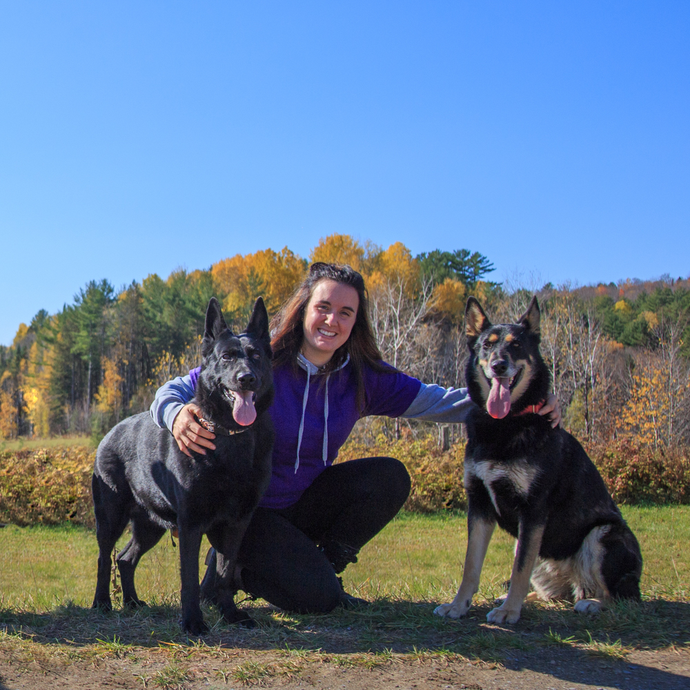 Palace pour chiens | 120, 33ème rue Lac des Français, Sainte-Marcelline-de-Kildare, QC J0K 2Y0, Canada | Phone: (450) 271-0534
