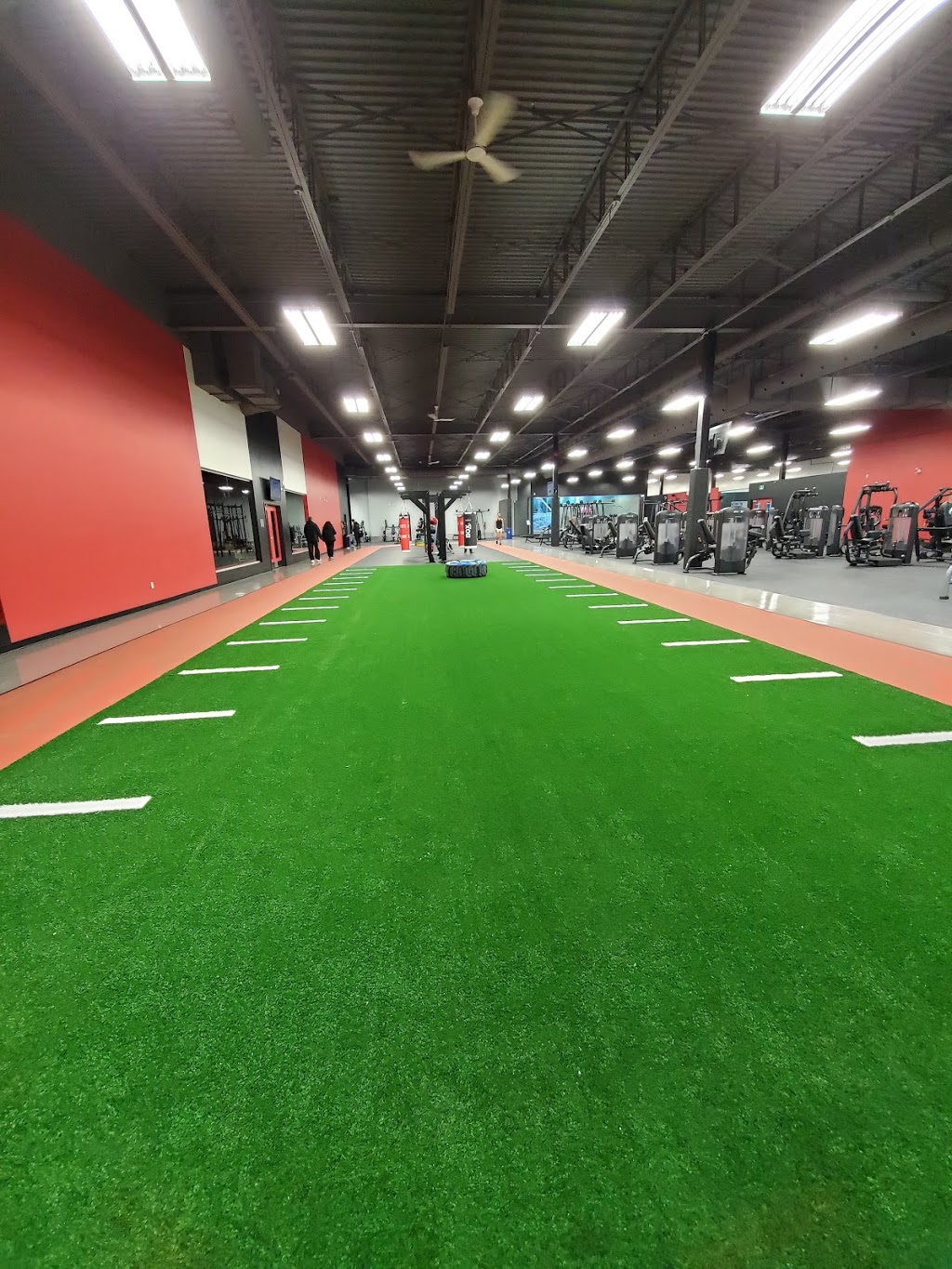 World Gym Brossard | 7250 Boulevard Taschereau, Brossard, QC J4W 1M9, Canada | Phone: (450) 912-4300