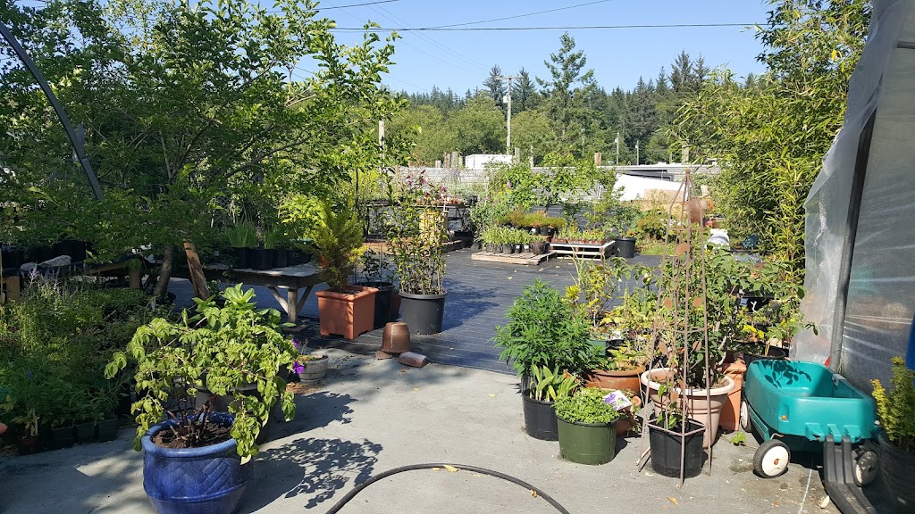 On Root Greenhouse | 673 Plaza Rd, Quathiaski Cove, BC V0P 1N0, Canada | Phone: (250) 204-2050
