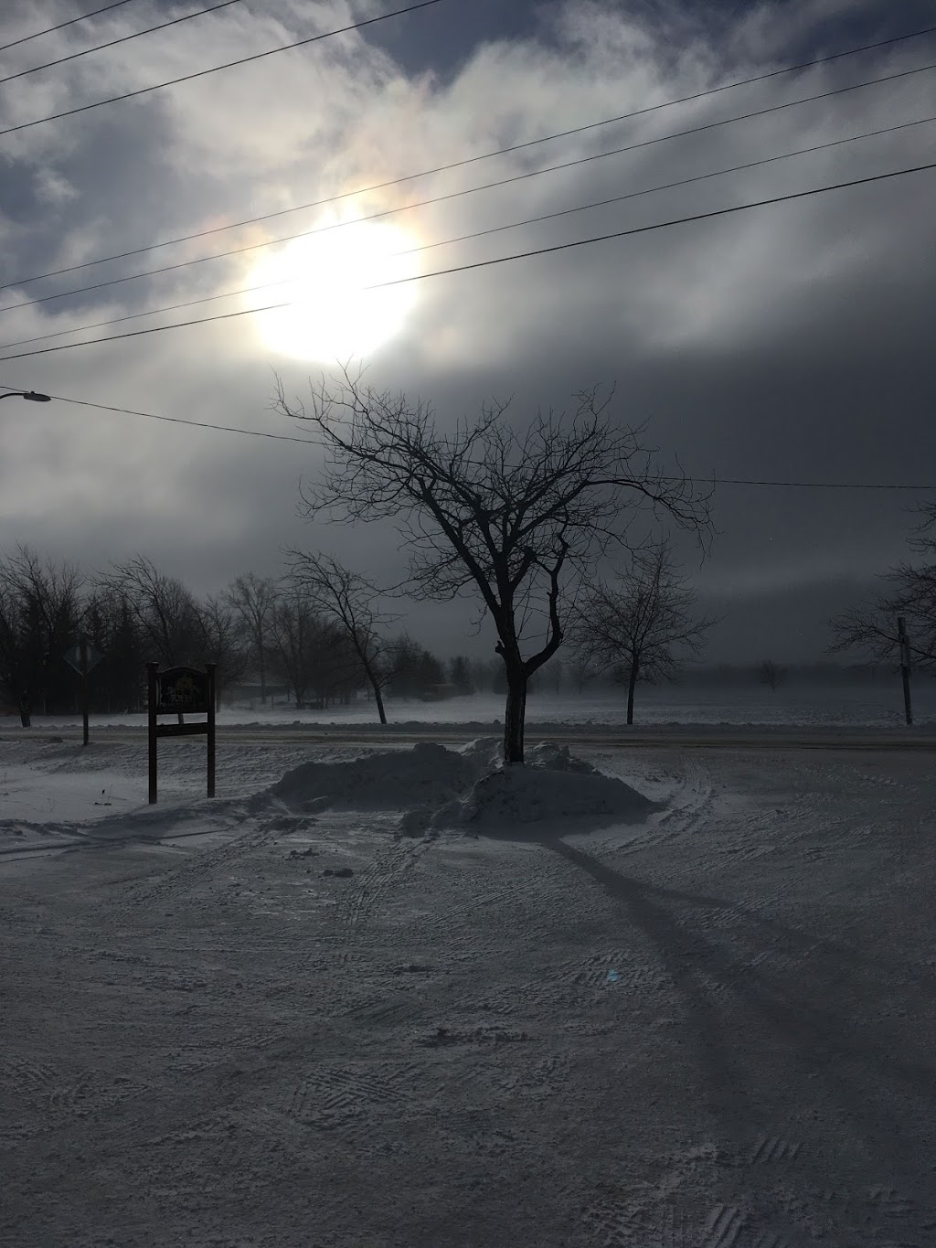 Forest Veterinary Clinic | 6378 Townsend Line, Forest, ON N0N 1J0, Canada | Phone: (519) 786-2306