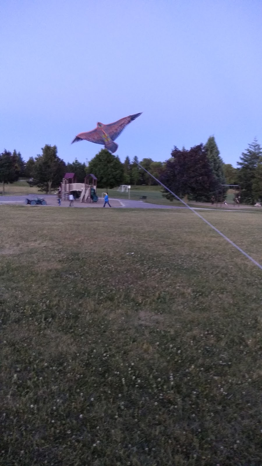 Randall Public School | 50 Randall Ave, Markham, ON L3S 1E2, Canada | Phone: (905) 479-2003