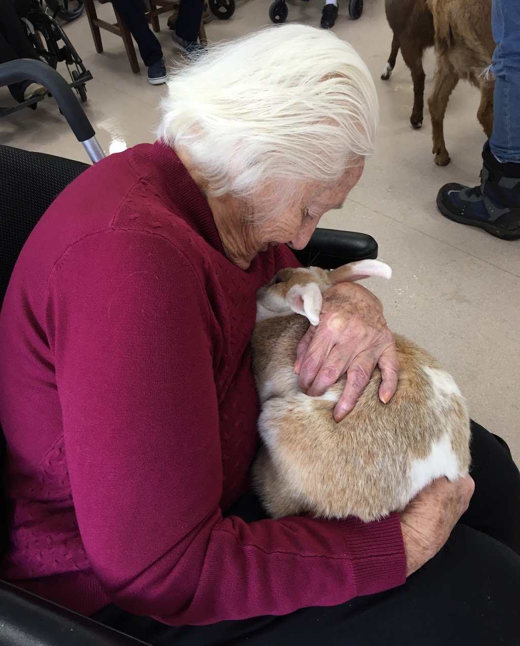 Secord Trails Care Community | 263 Wonham St S, Ingersoll, ON N5C 3P6, Canada | Phone: (519) 485-3920