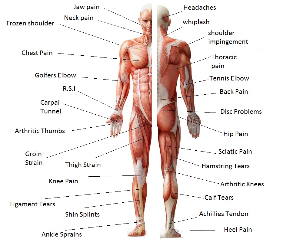 Enjoylife Wellness Centre | 4714 52 Ave, Camrose, AB T4V 0W7, Canada | Phone: (780) 673-7795