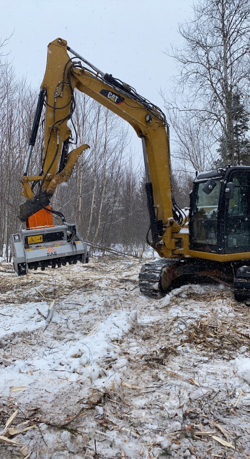 Timber Tree Care | 19506 rte 2, Hunter River, Charlottetown, PE C0A 1N0, Canada | Phone: (902) 213-5747