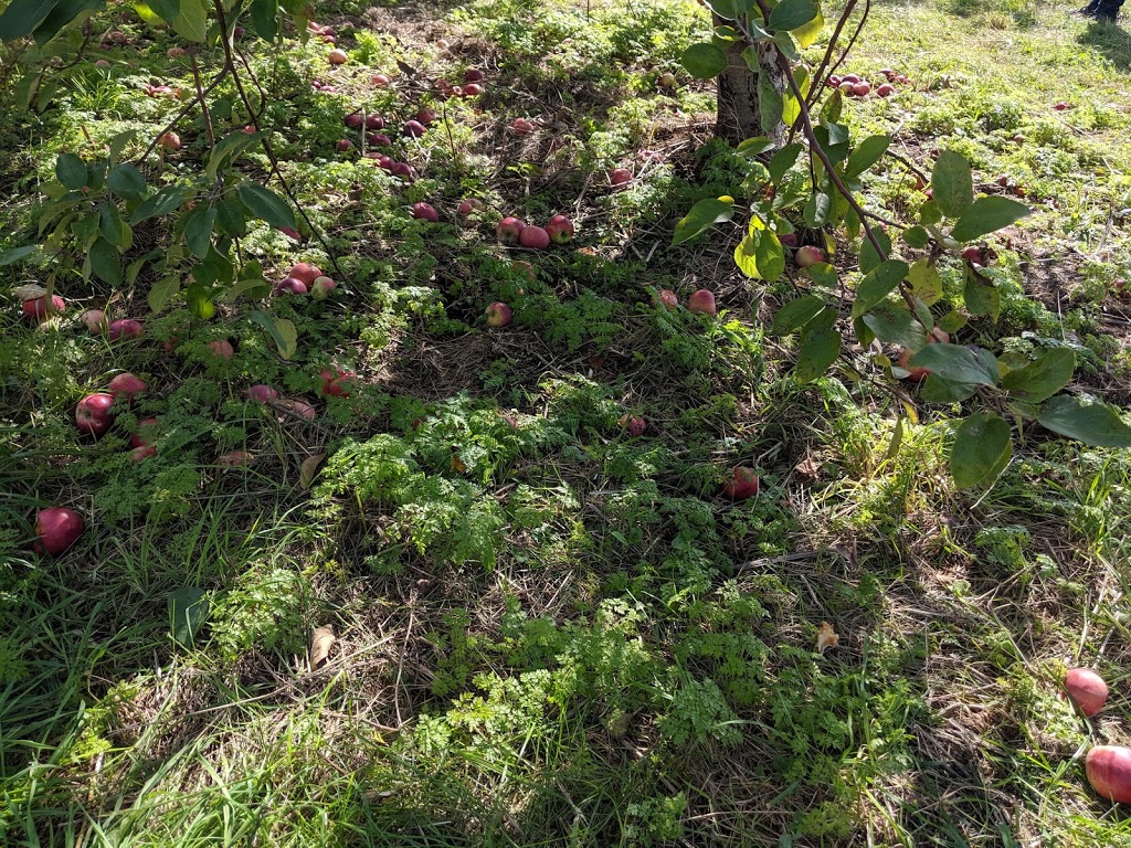 Les 7 fruits du château | 1172 Chemin de la Montagne, Mont-Saint-Hilaire, QC J3G 4S6, Canada | Phone: (450) 467-9965