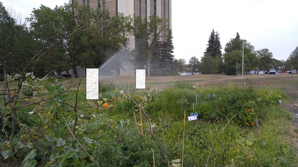 University Community Garden | Mceown Pl, Saskatoon, SK S7N 2R6, Canada