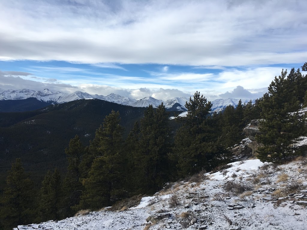 Alpine Helicopters Inc. | 888 Nakoda Way, Kananaskis, AB T0L 1N0, Canada | Phone: (403) 881-9901