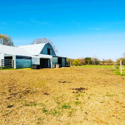 Placidity Acres Farm | 425376 Substation Rd, Burgessville, ON N0J 1C0, Canada | Phone: (613) 340-8178