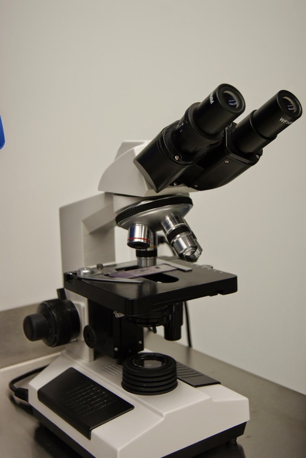 Veterinary Clinic St. Paul Farnham | 598 Rue Saint-Paul, Farnham, QC J2N 2K3, Canada | Phone: (450) 337-3371