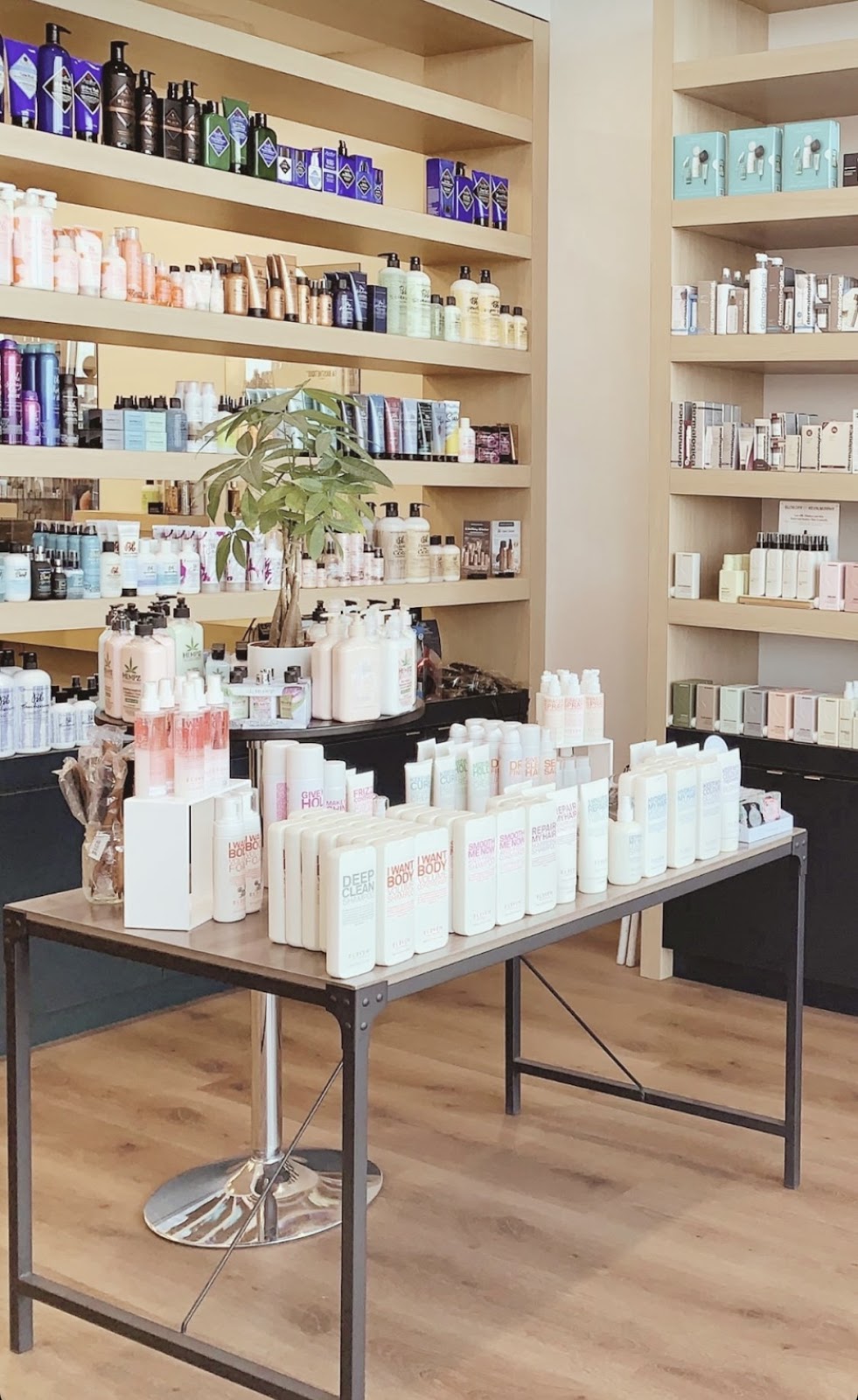 Curious Hair Westhills | 234 Stewart Green SW, Calgary, AB T3H 3C8, Canada | Phone: (403) 249-4065