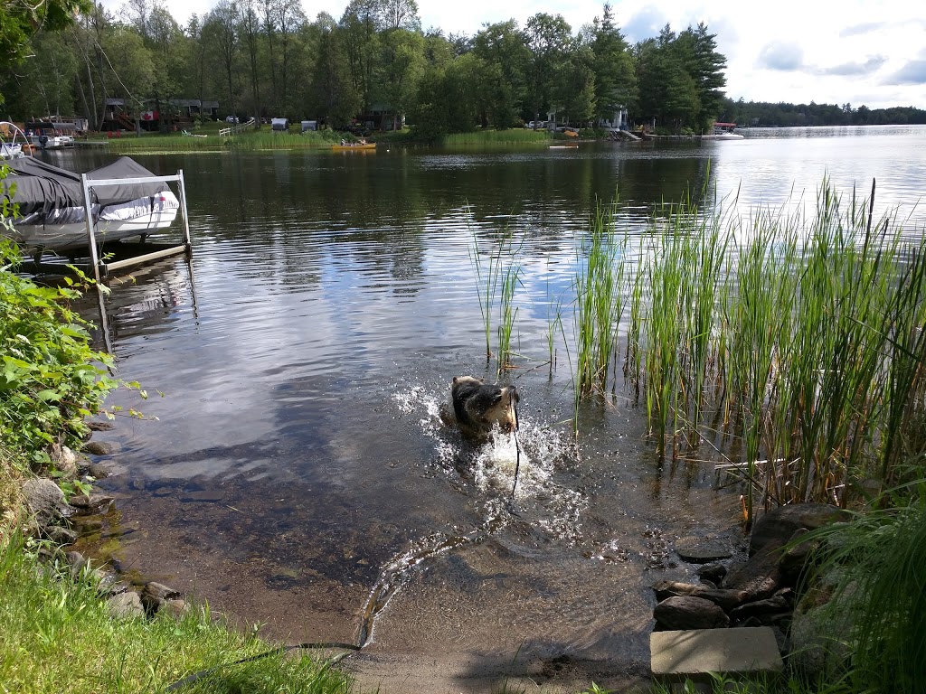 Morans Cabins | 5505 Calabogie Rd, Calabogie, ON K0J 1H0, Canada | Phone: (613) 883-0550