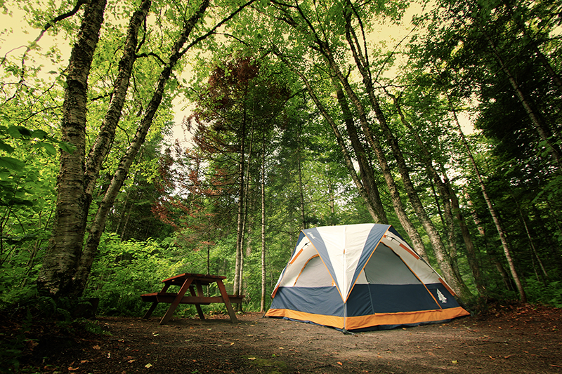 Lacey Mines Campground & RV Storage | 371 Lacey Mines Rd, Chester Basin, NS B0J 1K0, Canada | Phone: (902) 275-2446