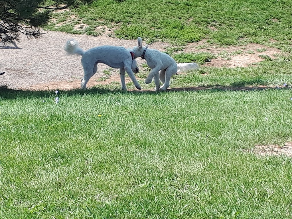 Globe Leash Free Dog Park | Brampton St, Hamilton, ON L8H 6V5, Canada