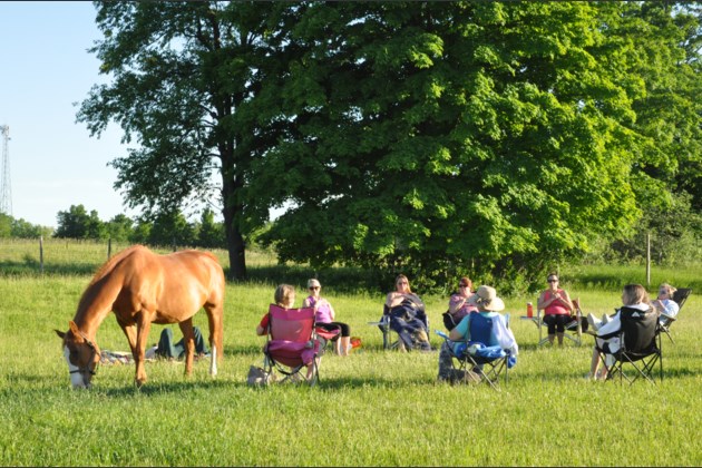 Peaceful Place Equestrian & Wellness Facility Inc. | 687399 Oxford 2, Princeton, ON N0J 1V0, Canada | Phone: (226) 388-4225