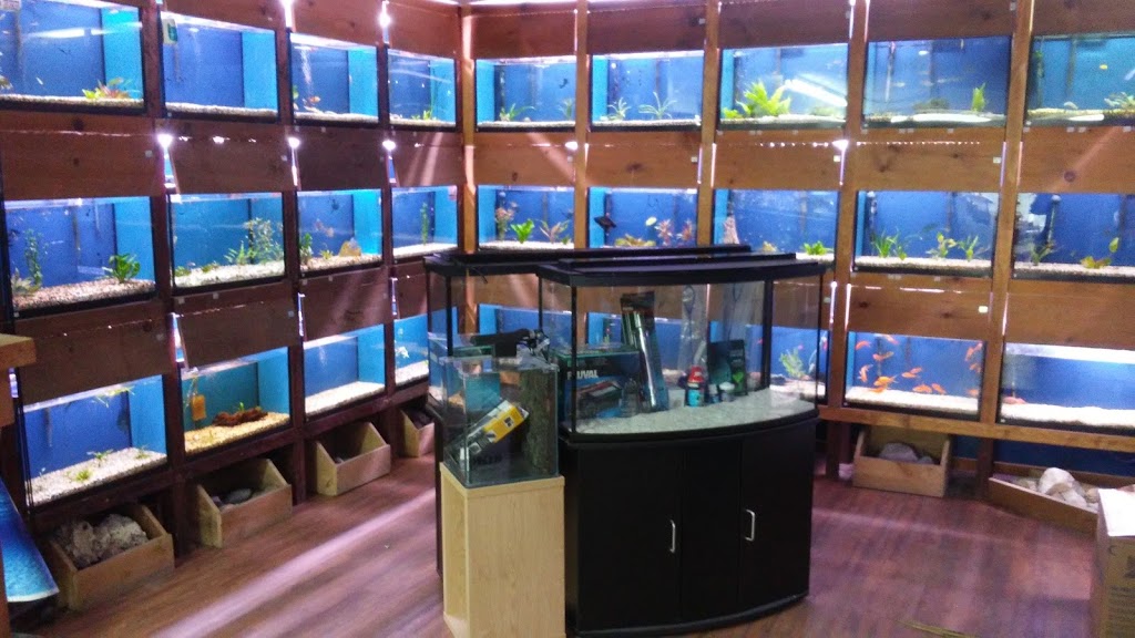 Animalerie Animal Bouffe 131 2e Avenue, SaintJeansurRichelieu, QC