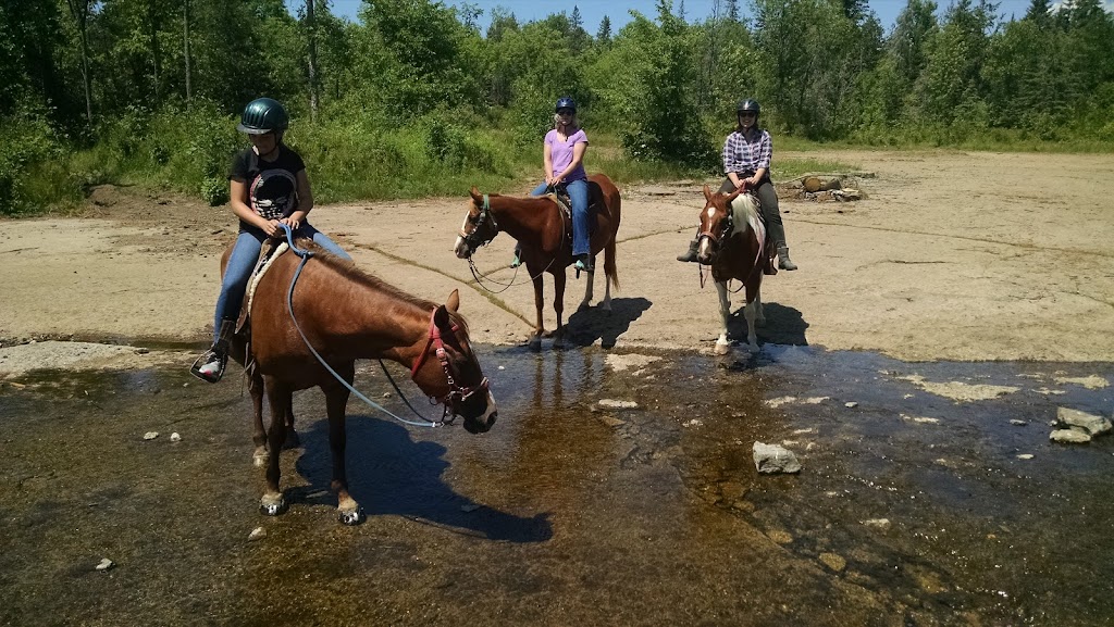 Horsin Around Riding Ranch | 445 Callaghan Rapids Rd, Marmora, ON K0K 2M0, Canada | Phone: (613) 849-2332