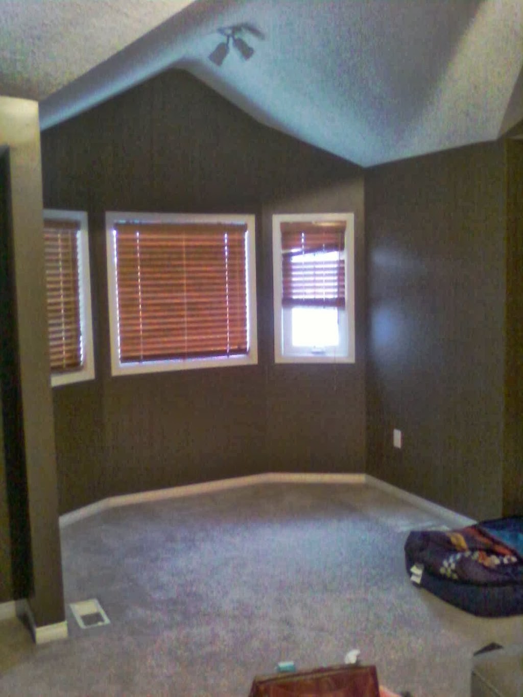Paintchic Painting | west guelph, Guelph, ON N1K 1Y9, Canada | Phone: (519) 820-2356